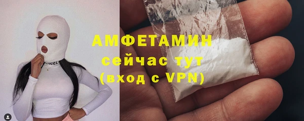 PSILOCYBIN Горно-Алтайск