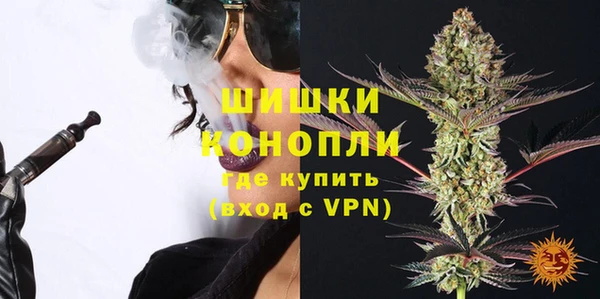PSILOCYBIN Горно-Алтайск