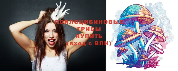 соль ск Иноземцево