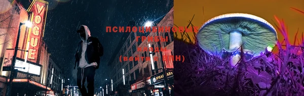 mdpv Горнозаводск