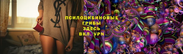 mdpv Горнозаводск