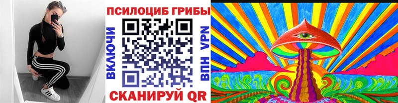Галлюциногенные грибы прущие грибы  купить наркотик  Гуково 
